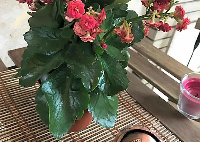 Hotel B&B Roma Rome